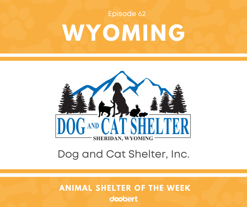 Dog and Cat Shelter, Inc.