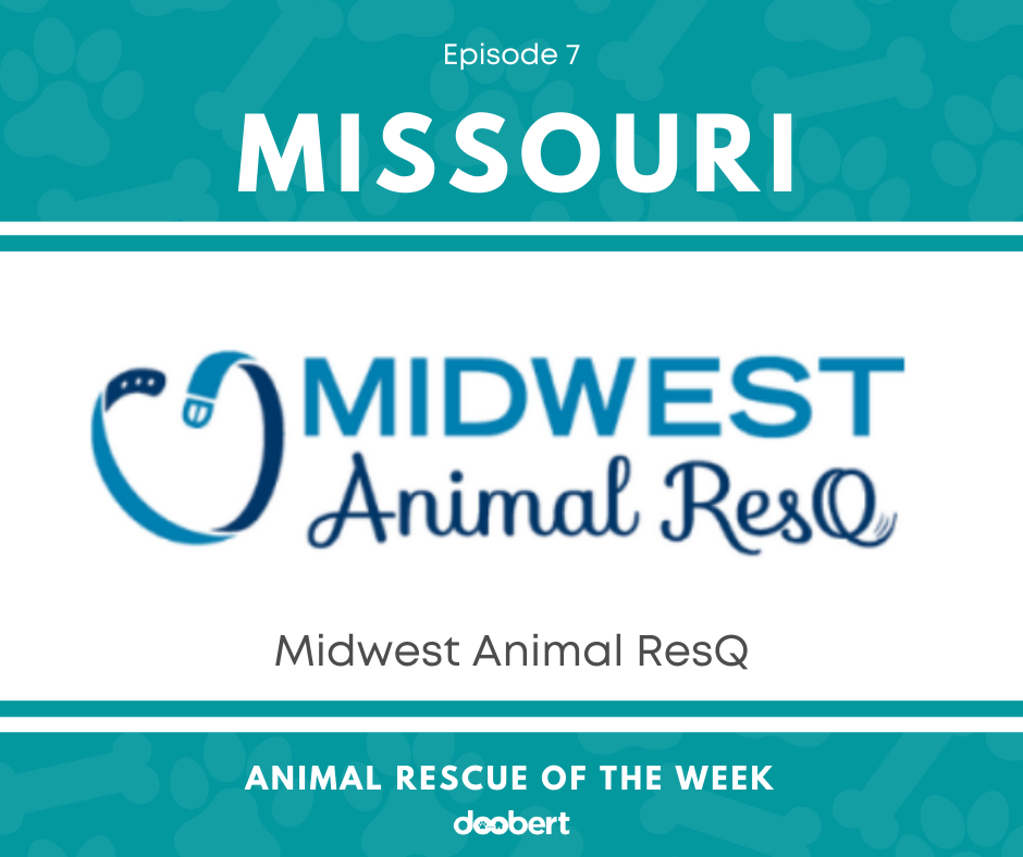FB 7. Midwest Animal ResQ_Animal Rescue of the Week
