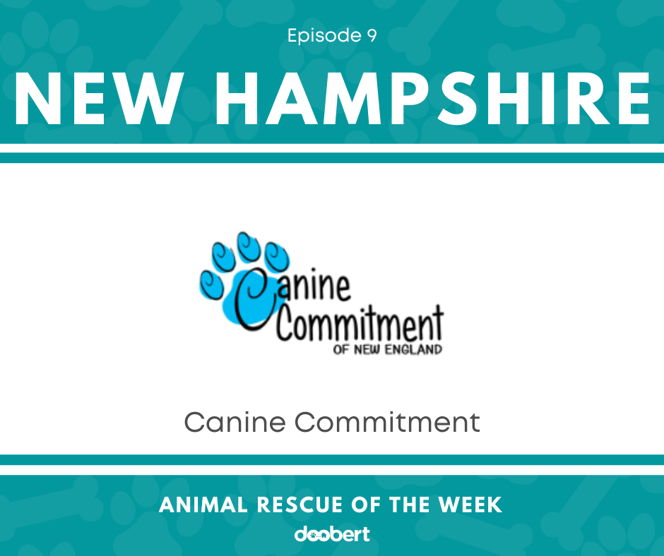FB 9. Canine Commitment _Animal Rescue of the Week