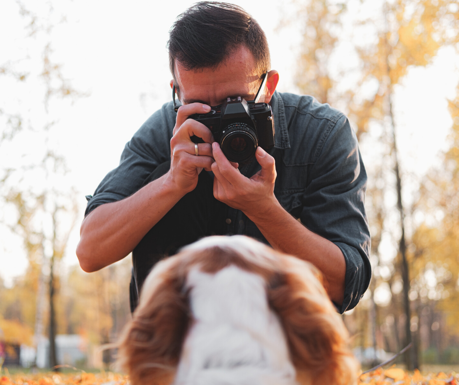 Shelter Pet Photography: Do You Have What It Takes?