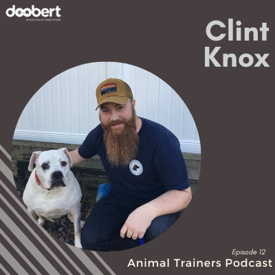Clint Knox