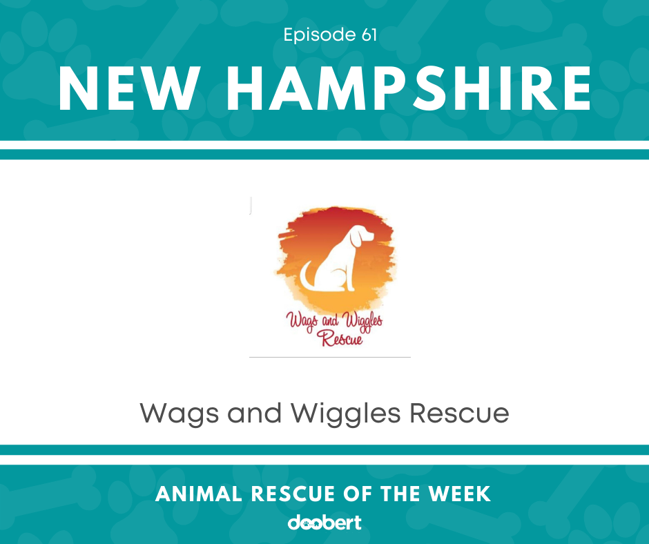 Wags and Wiggles Rescue