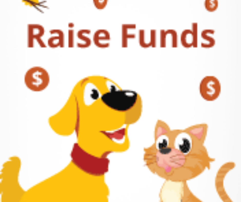3 Simple Tips on Effective Fundraising for Shelters and Rescues