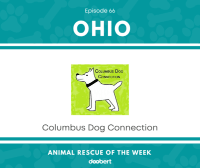 Columbus Dog Connection