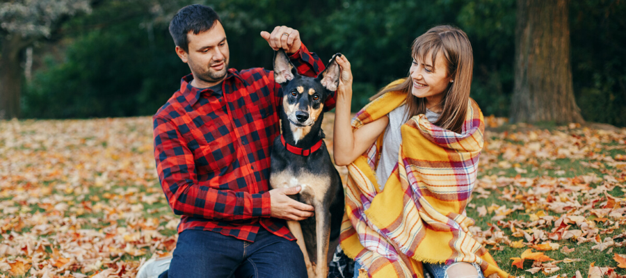 National Best Friends Day: 5 Reasons Why Dogs Are Called Man’s Best Friend