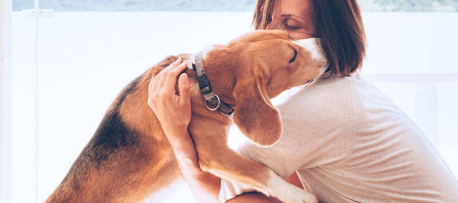 7 Reasons Why Rescues Are Your Best Match