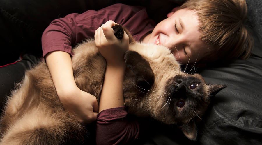 National Hug Your Cat Day: 5 Meaningful Ways to Celebrate