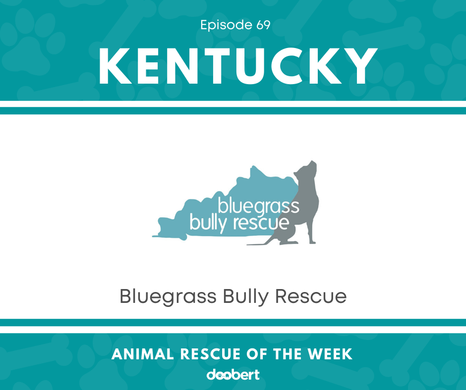 Bluegrass Bully Rescue