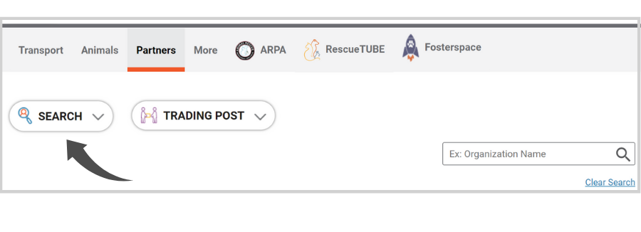 Finding Partners on Doobert: Finding and adding partners