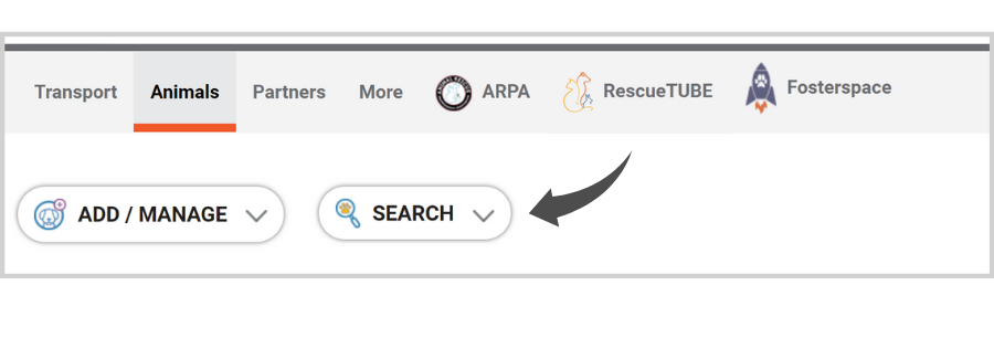 Finding Partners on Doobert: Finding Animals to Transfer In