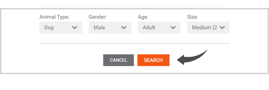 Finding Partners on Doobert: Finding Animals to Transfer In