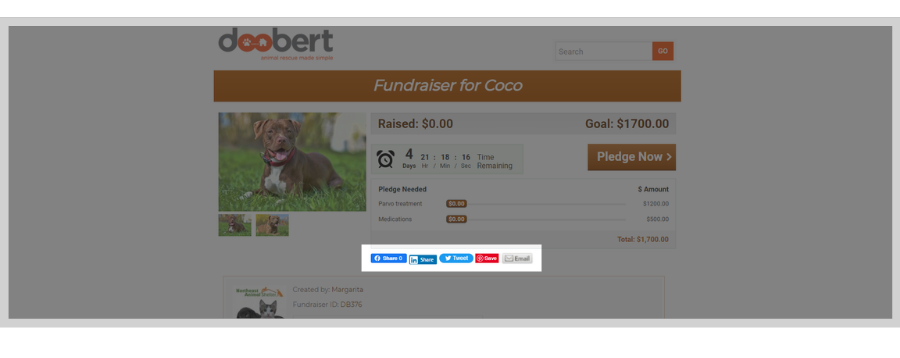 Fundraiser pages