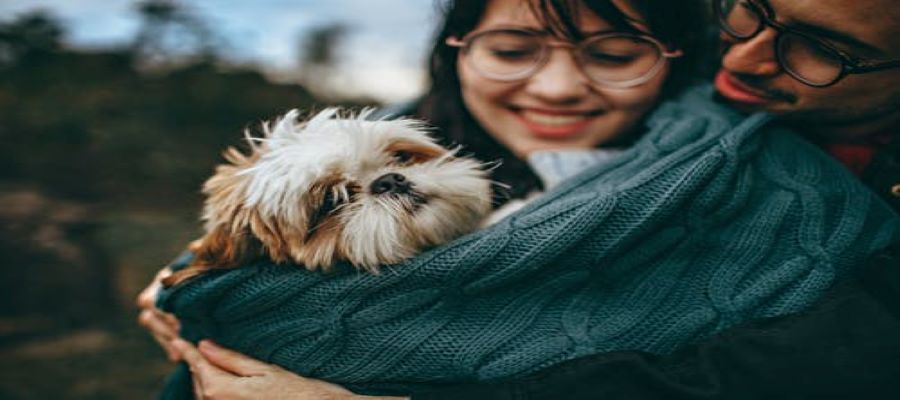 Dating App for Dog and Cat Lovers (Find Your Pawfect Partner!) | Dig and Tabby Dating Apps