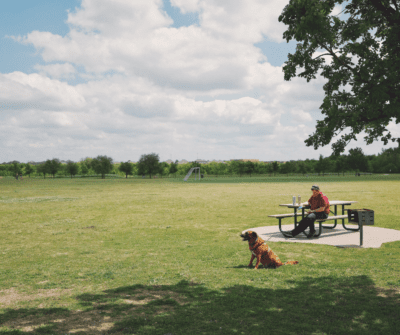 Say Goodbye to Awkward Interactions at the Dog Park | PawConX