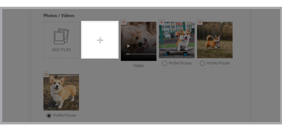 Doobert - How to Add Animal Profiles