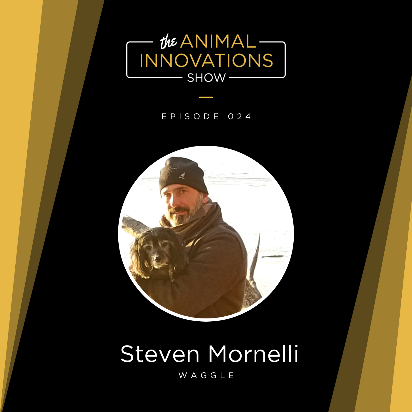 Steven Mornelli