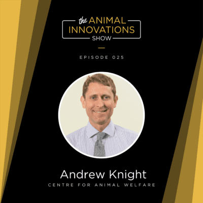 Andrew Knight