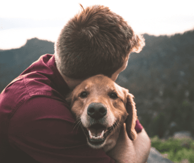 Creating Partnerships That Strengthen Human-Animal Connections | Animals Connect Everyone