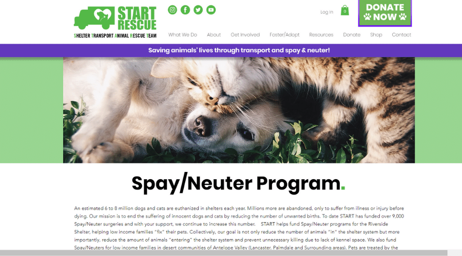 Saving Homeless Animals in Southern California Through Transports and Spay Neuter | START Rescue