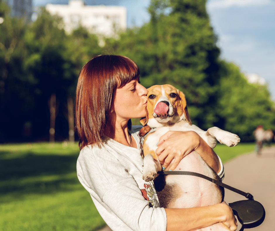 Saving Homeless Animals in Southern California Through Transports and Spay/Neuter | START Rescue
