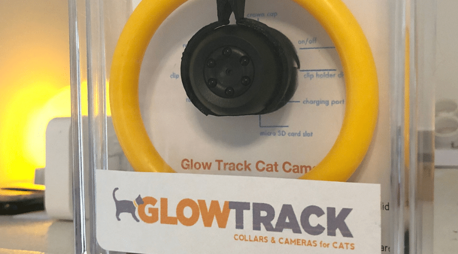 Glow Track Camera Collar That Makes Your Cats Easy to Find in the Dark