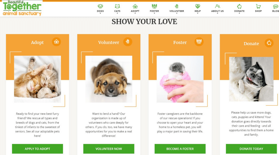 Beautiful Together Dog Sanctuary Provides Pet Adoption Options