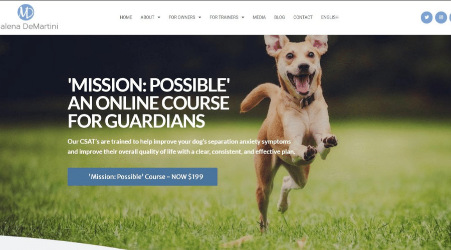 Mission Possible Helps Overcome Separation Anxiety in Dogs