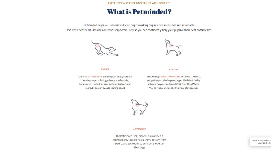 Petminded Makes Dog Science Accessible to Give Dogs a Great Life