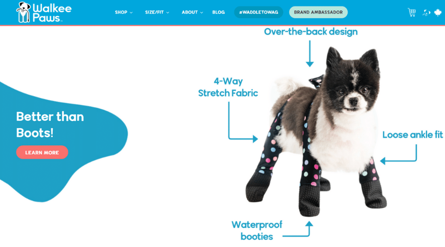 Walkee Paws as the Best Boots on Your Dog’s Paws