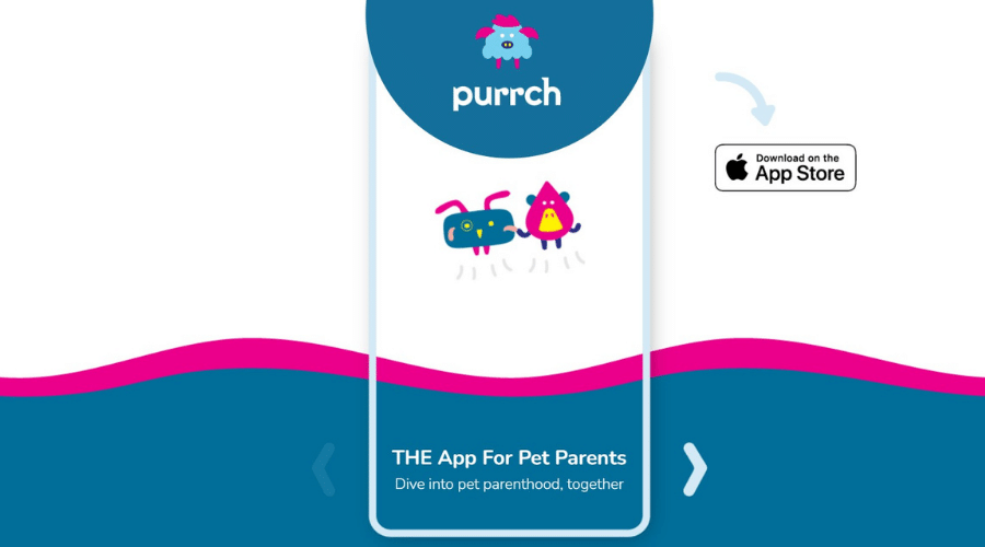 Purrch as a social network exclusively for pet parents