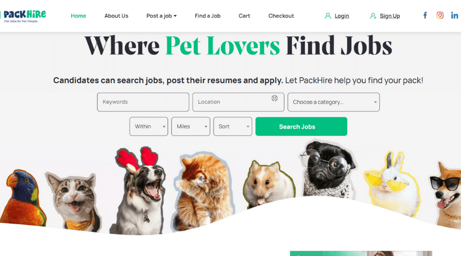 Job Search Engine Helps Pet Lovers Find Jobs Where They Can Work With  Animals | PackHire 