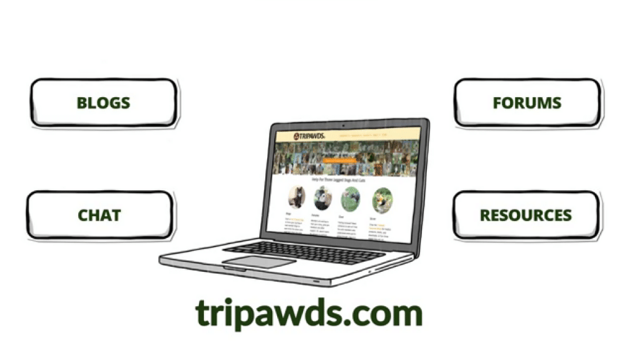 tripawds foundation Online Resource Center for Amputee Pets and Their People