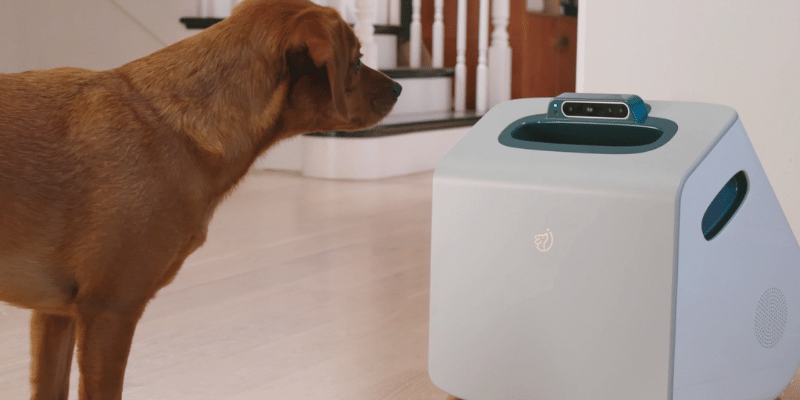 Companion AI tech helps train your dog