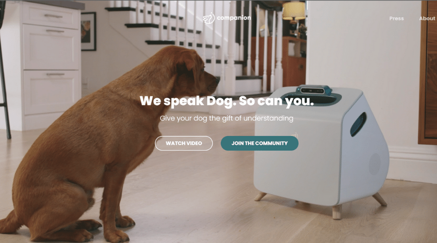 Companion website dog listening to companion