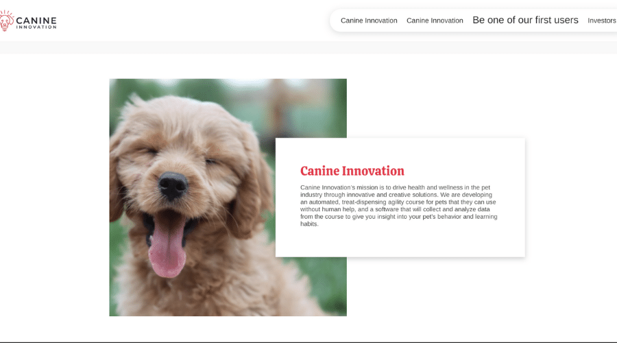 developing a smart agility course with canine innovation