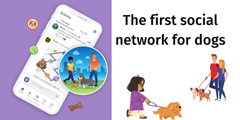 paway the first social network for dogs