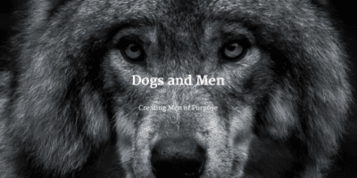 dogs and men help men awaken to their path