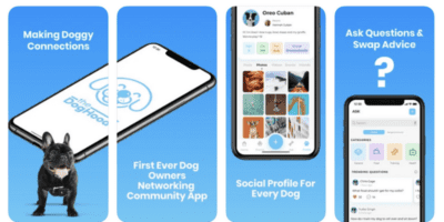 thedoghood nextdoor app for dogs makes pet ownership more enjoyable