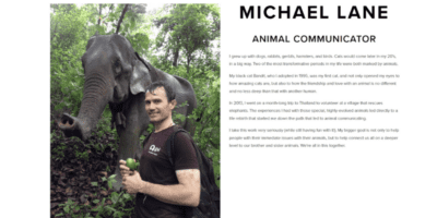 Animal Michael Lane connects you deeper to your animal companions
