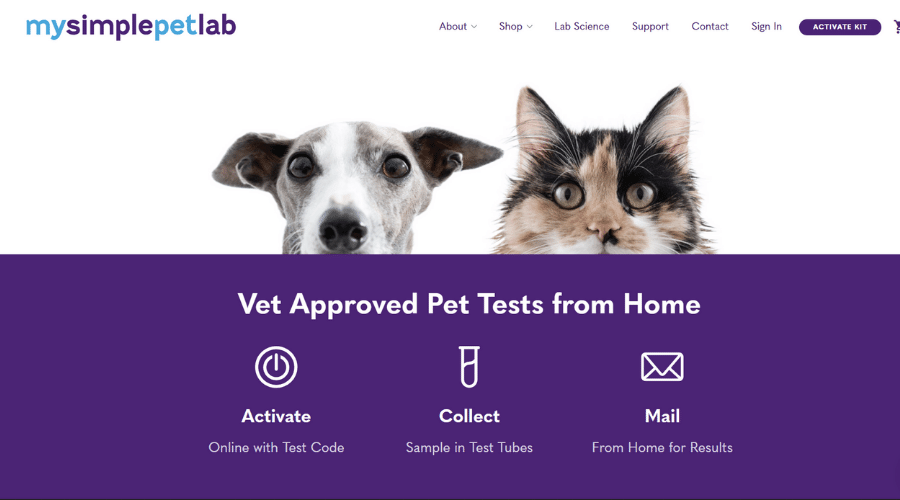 bringing access to vet care to your home with my simple pet lab