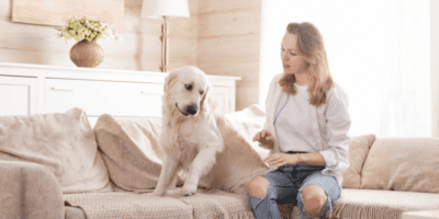 sipho animal communications help humans and animals understand each other better