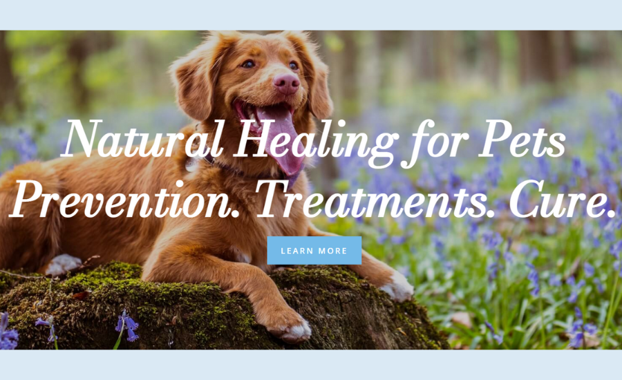 Natural Healing For Animals │ The Hound Healer