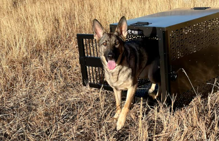 Sturdier and Safer Dog Crates │ Rock Creek Crates