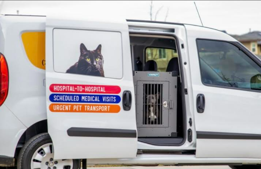 Reliable and Trustworthy Transport Service For Pets In Colorado │ Pet Medical Transport
