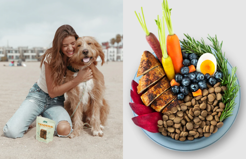 Top Quality Nutrition With Natural Superfoods For Dogs │ Jinx
