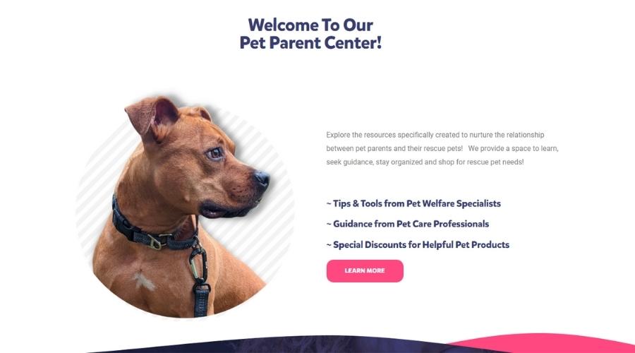 Parenting.Pet website