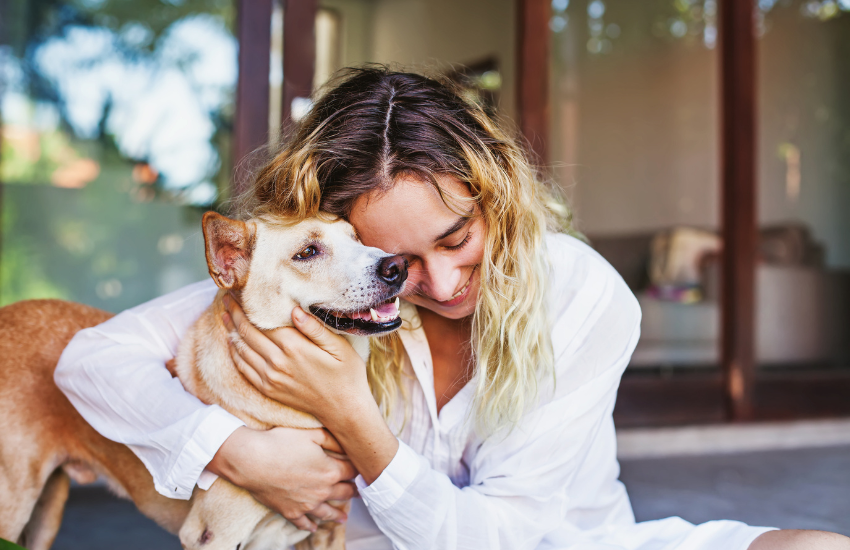 Pets Living Naturally With The Help Of Animal Aromatherapy │ Texas Oil Lady
