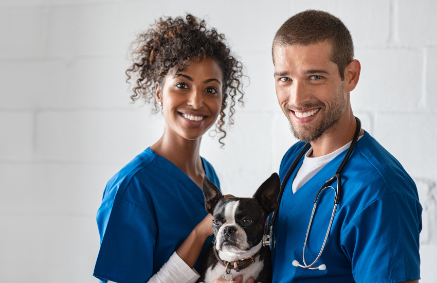 Instant Access To Licensed Veterinarians With A Click Of A Button │ Hello Ralphie