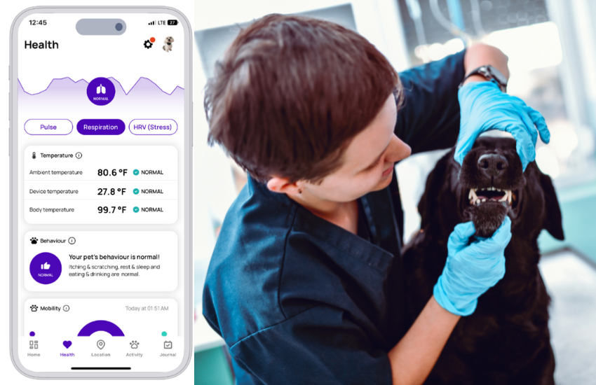 Health And Wellness Monitor For Better Insight On Your Pet │ MyPetGo