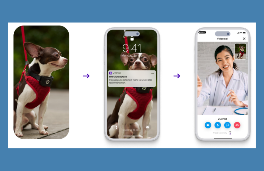 Health And Wellness Monitor For Better Insight On Your Pet │ MyPetGo